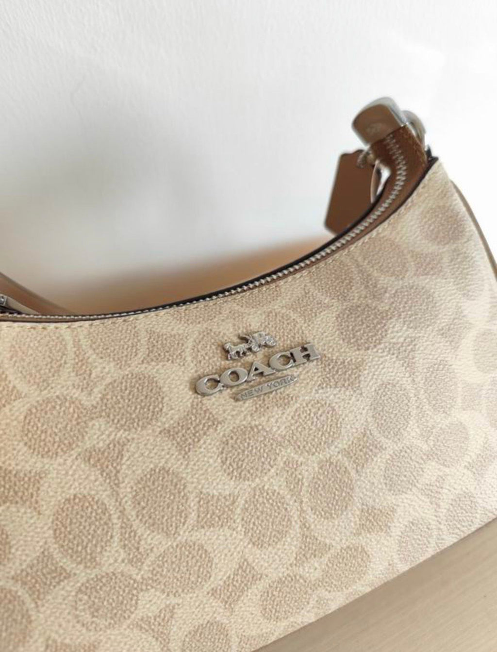 TERI SWINGER BAG